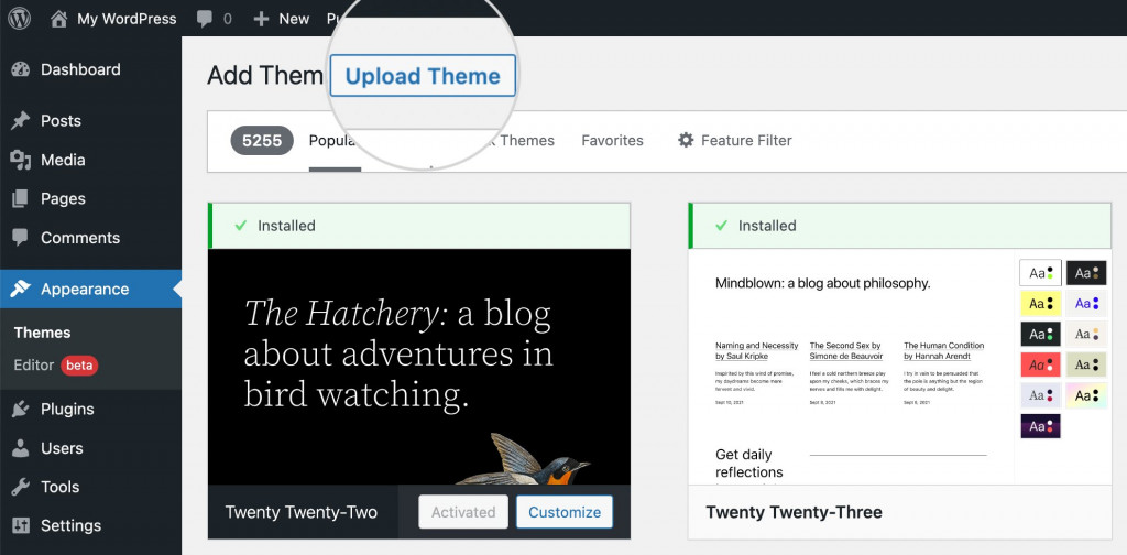 How to Install WordPress Themes - SiteGround Tutorials