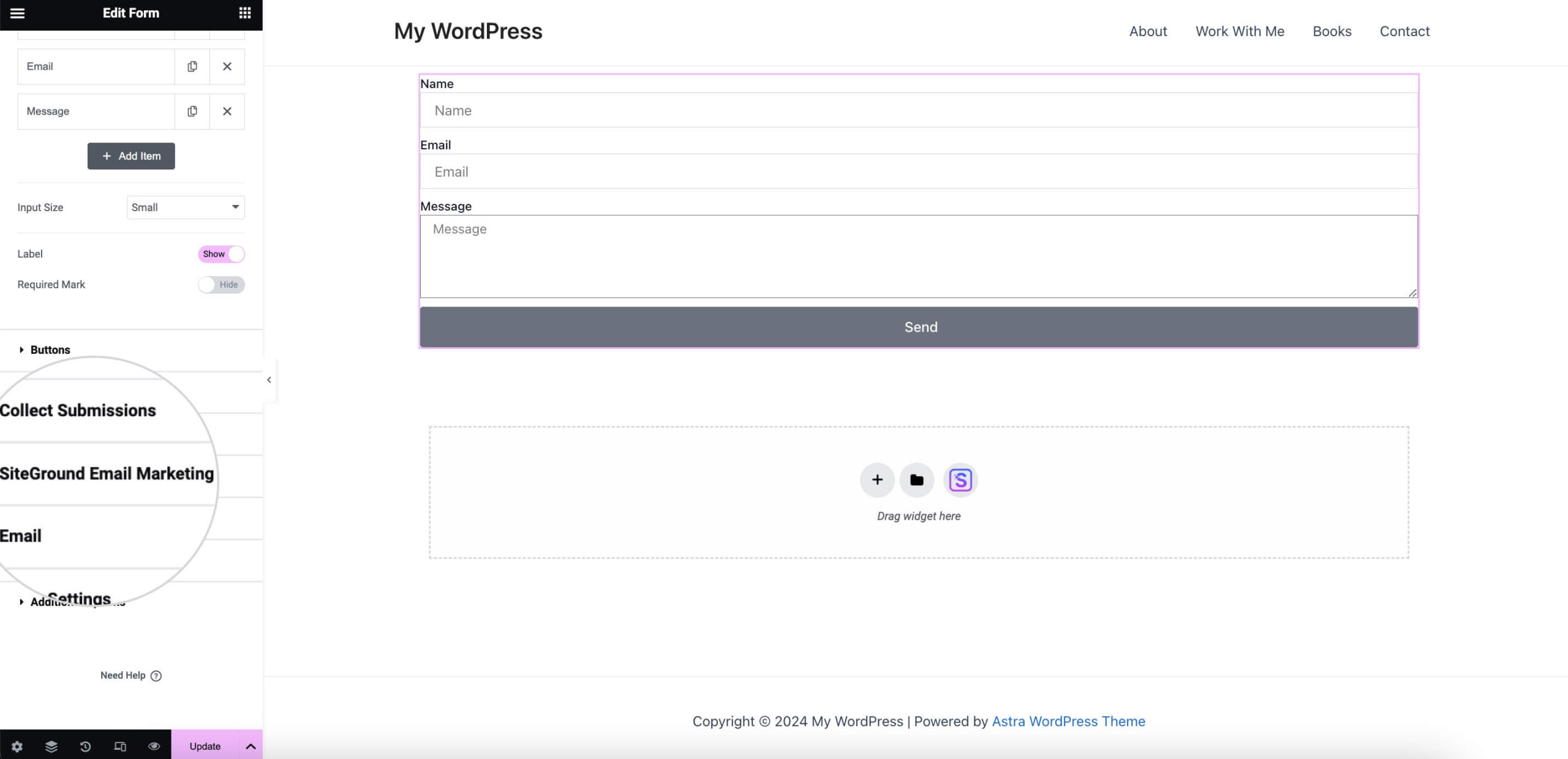 SiteGround Email Marketing Integration with Elementor Pro-Forms ...