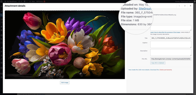 What is an SVG File? A Beginner's Guide to Scalable Vector Graphics ...