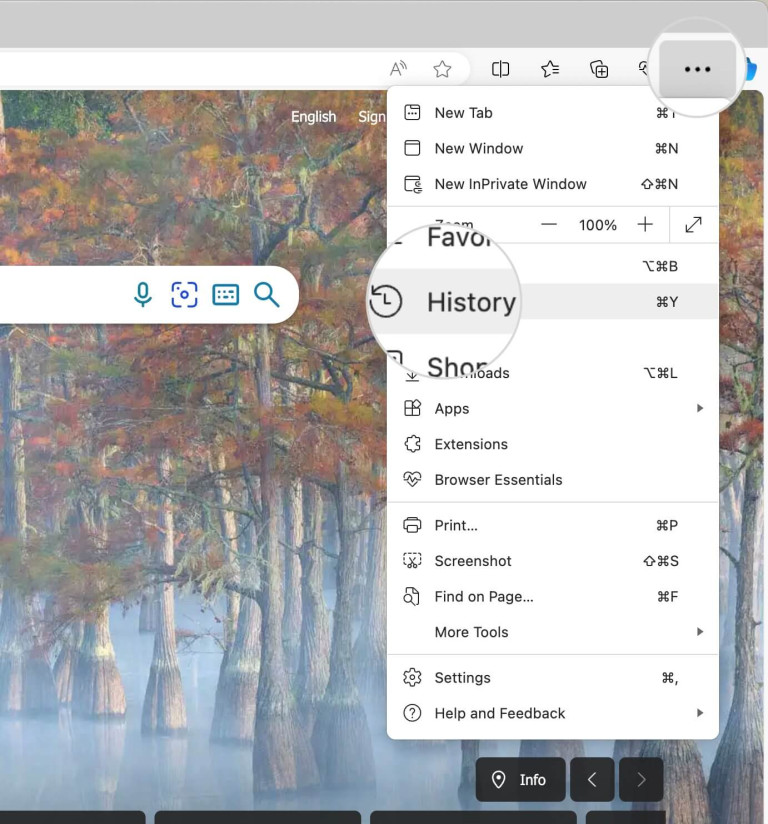 How to Clear Cache and Cookies on Your Browser - SiteGround KB