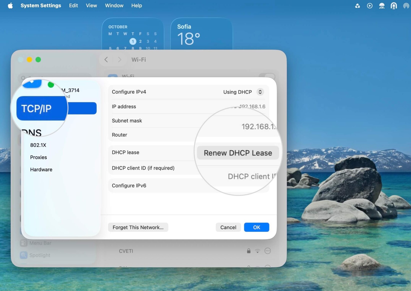 Impostazioni TCP/IP per una rete attiva su un Mac, dove è selezionato il pulsante Rinnova lease DHCP