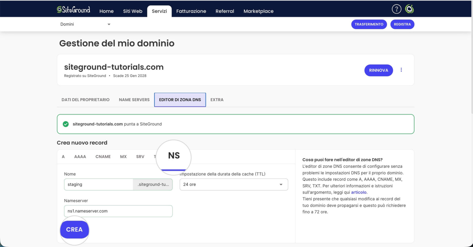Editor di zona DNS nella pagina delle impostazioni del dominio nell'Area Cliente di SiteGround che mostra la scheda NS in cui vengono creati i nameserver dei sottodomini