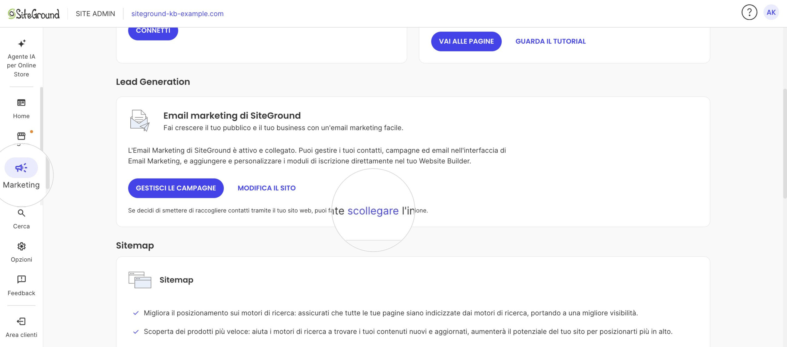 La scheda Email marketing di SiteGround collegata nel Site Admin, con il link per scollegare.