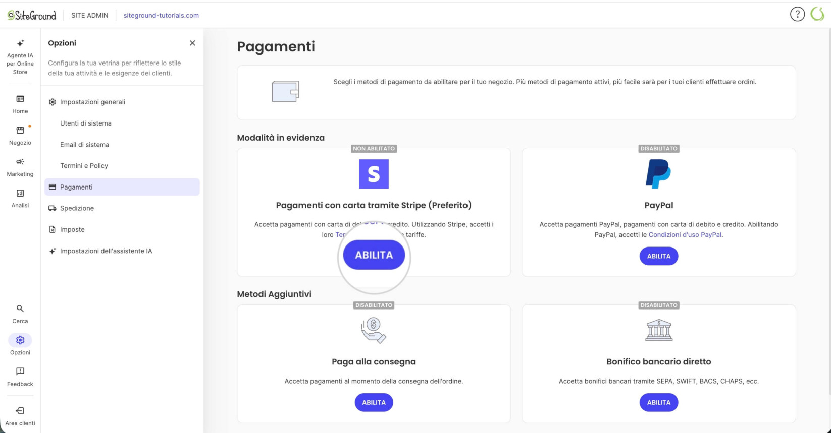 Pulsante Abilita per connettere Stripe a SiteGround Ecommerce