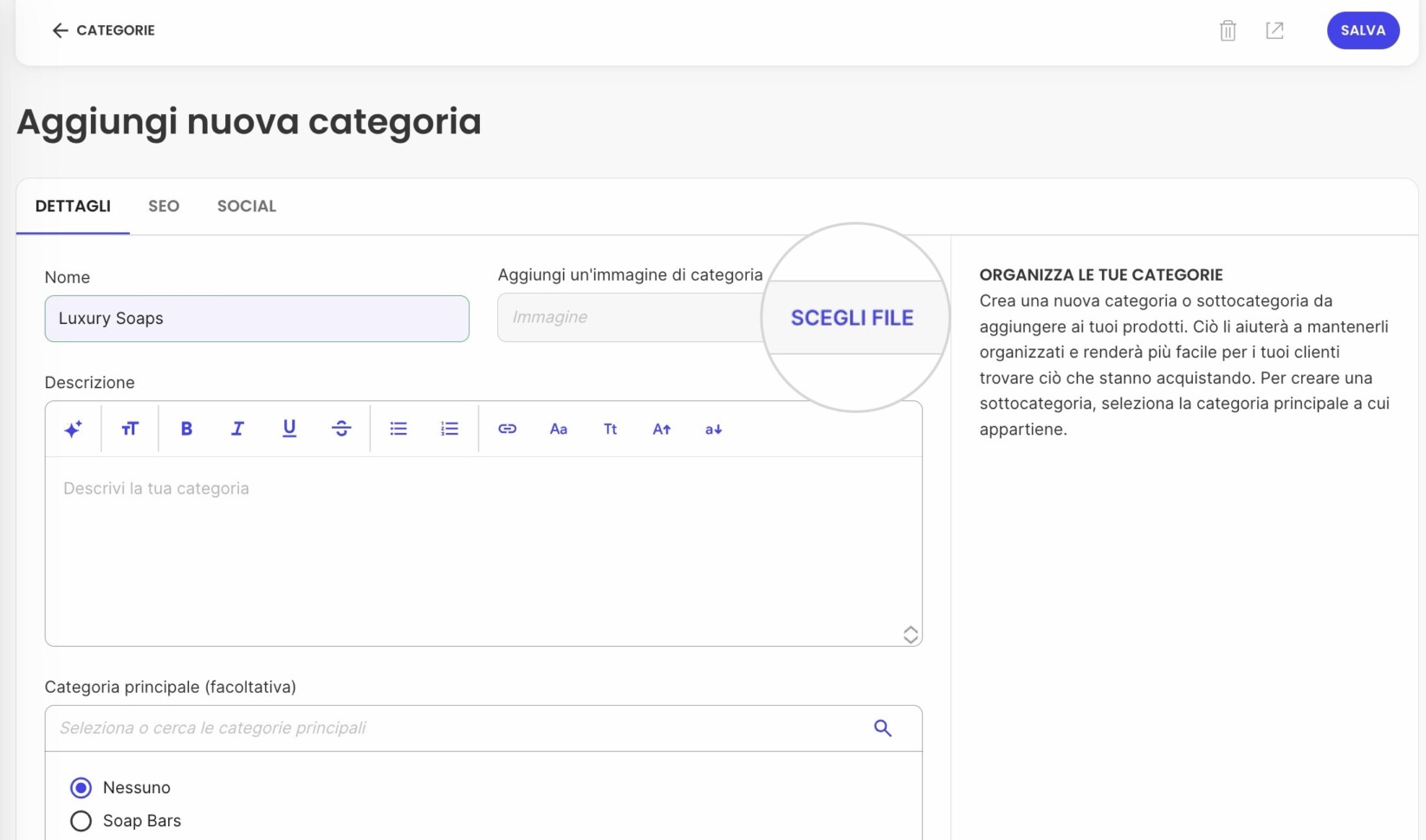 Pulsante Scegli File per selezionare un'immagine di categoria