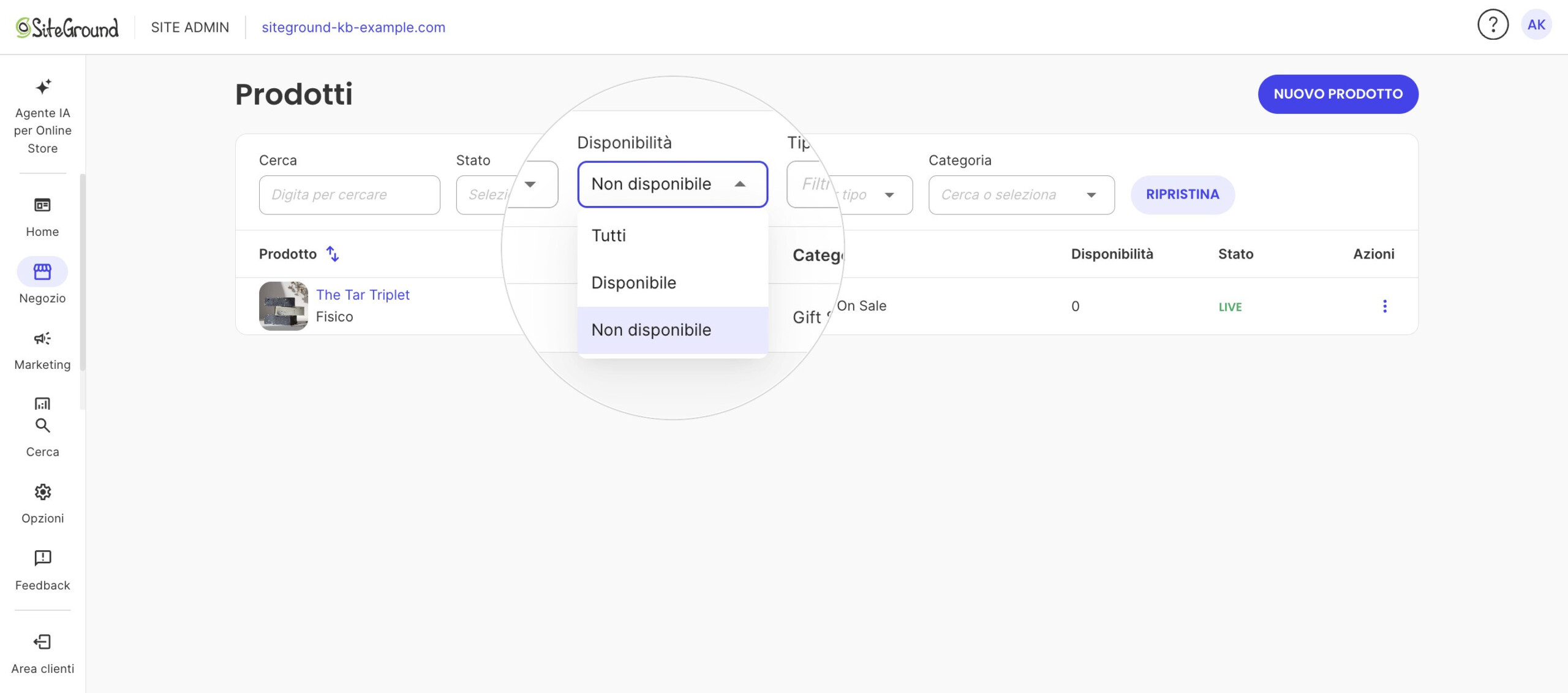 La pagina Prodotti con il filtro Disponibilità su Non disponibile: resta un solo prodotto.