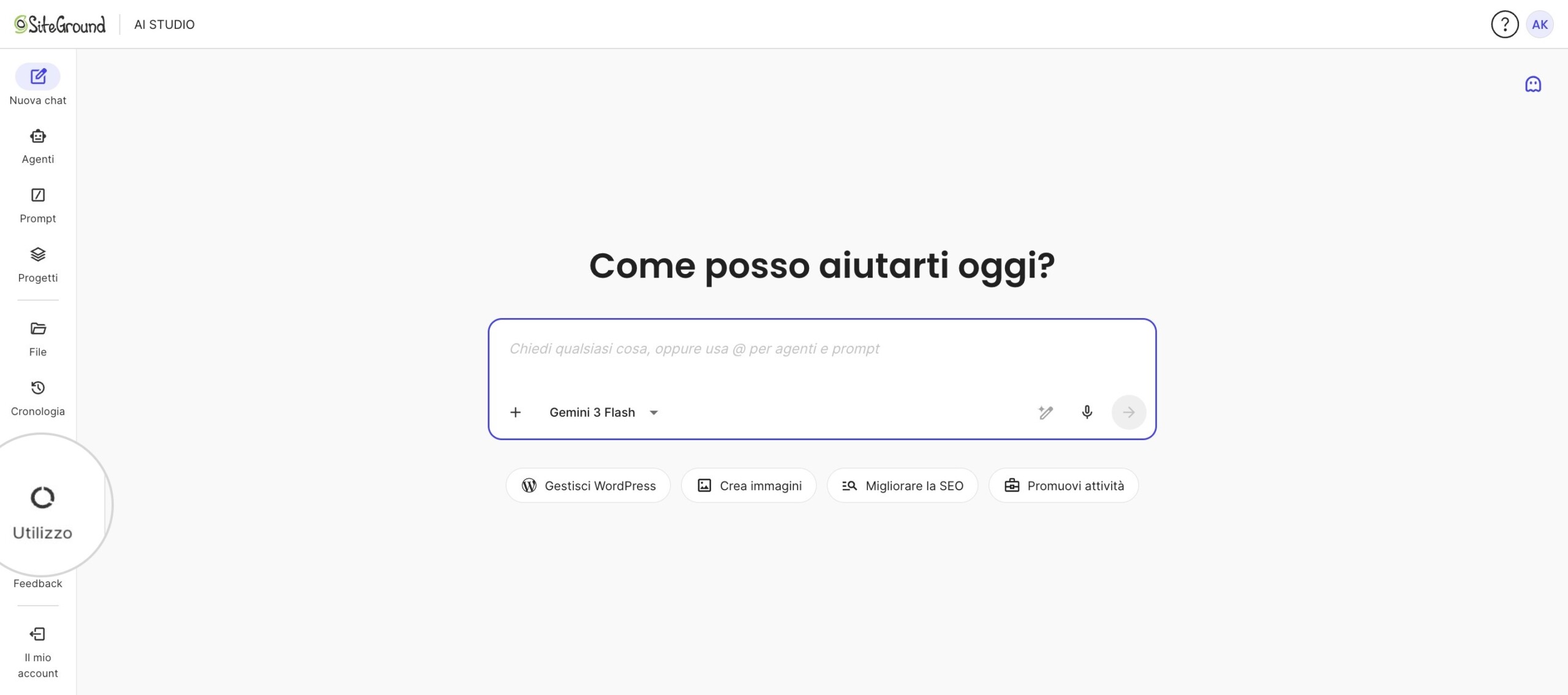 La schermata Nuova chat di AI Studio, con il menu di navigazione a sinistra che mostra Utilizzo tra Cronologia e Feedback.
