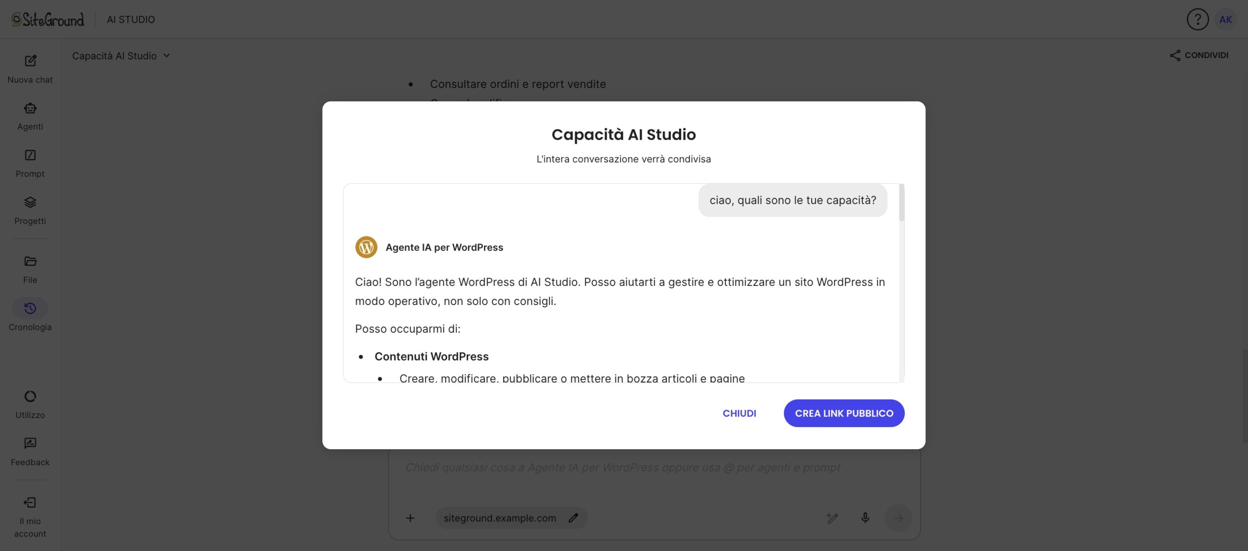 Finestra per rivedere una conversazione di AI Studio prima di creare un link pubblico