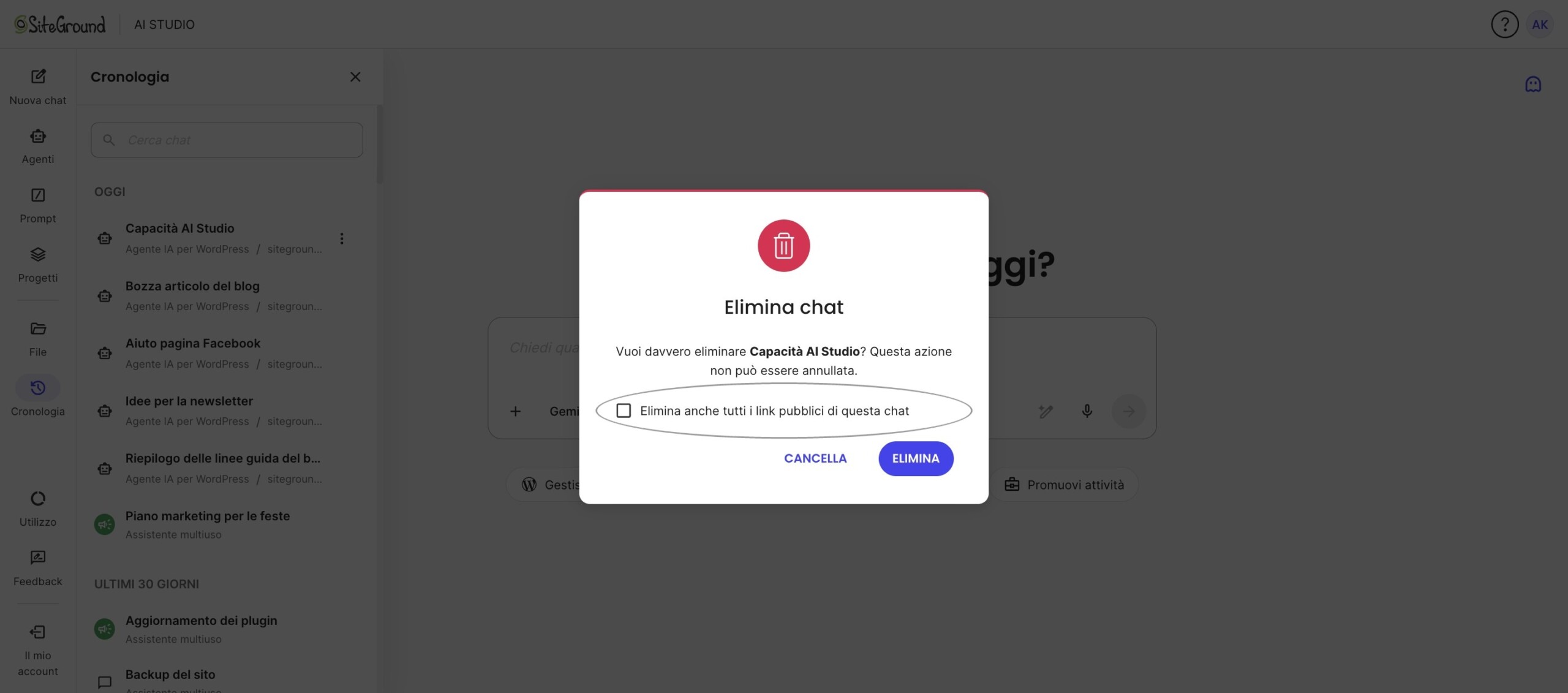 Finestra di conferma per eliminare una chat e i relativi link pubblici