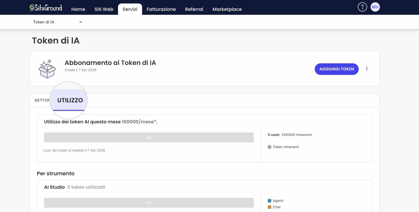 Nella scheda Utilizzo vedrai quanti token hai utilizzato questo mese, quanti token ti restano attualmente e quando è la data di ripristino del tuo abbonamento.