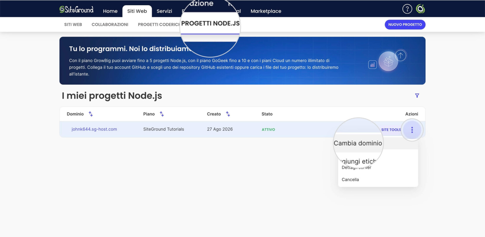 Pagina Progetti Node.js di un'Area Clienti con l'opzione selezionata Cambia Dominio Principale