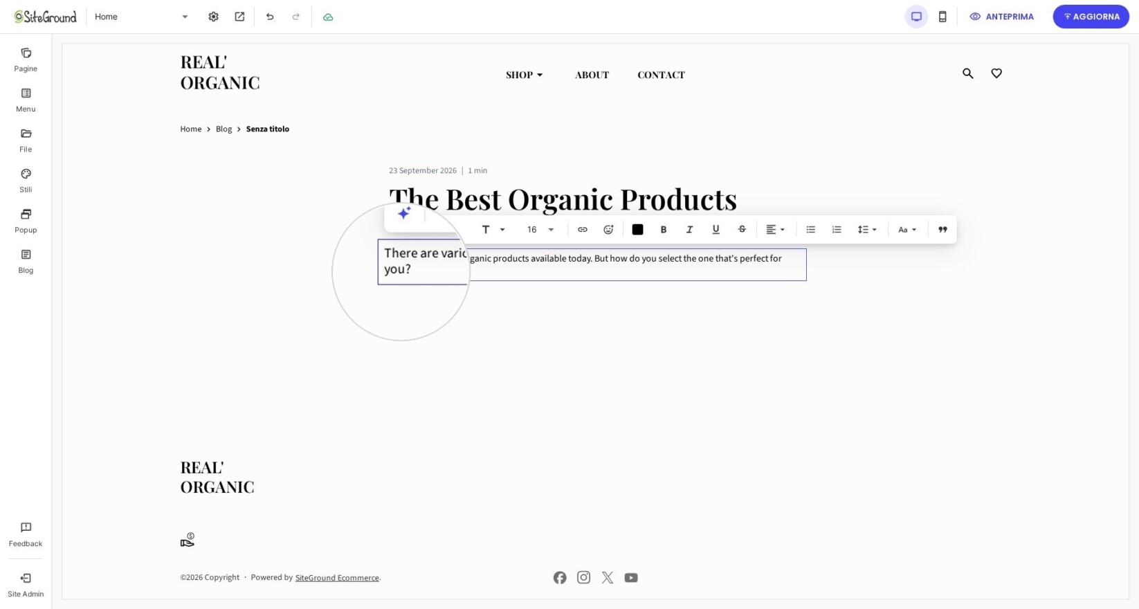 Inserisci il contenuto del blog nell’area sottostante. 