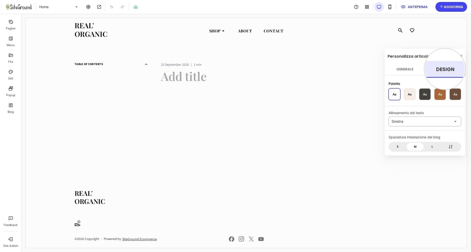 Utilizzo delle impostazioni di design dell’Articolo singolo