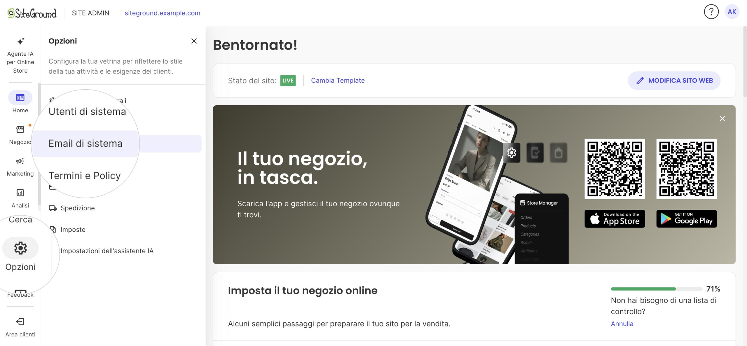 Site Admin con il pannello Opzioni aperto ed Email di sistema evidenziato; entrambe le voci sono ingrandite