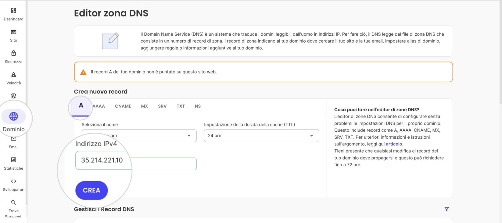 Editor di zona DNS in Site Tools dove l'indirizzo IP corretto è assegnato a un record A