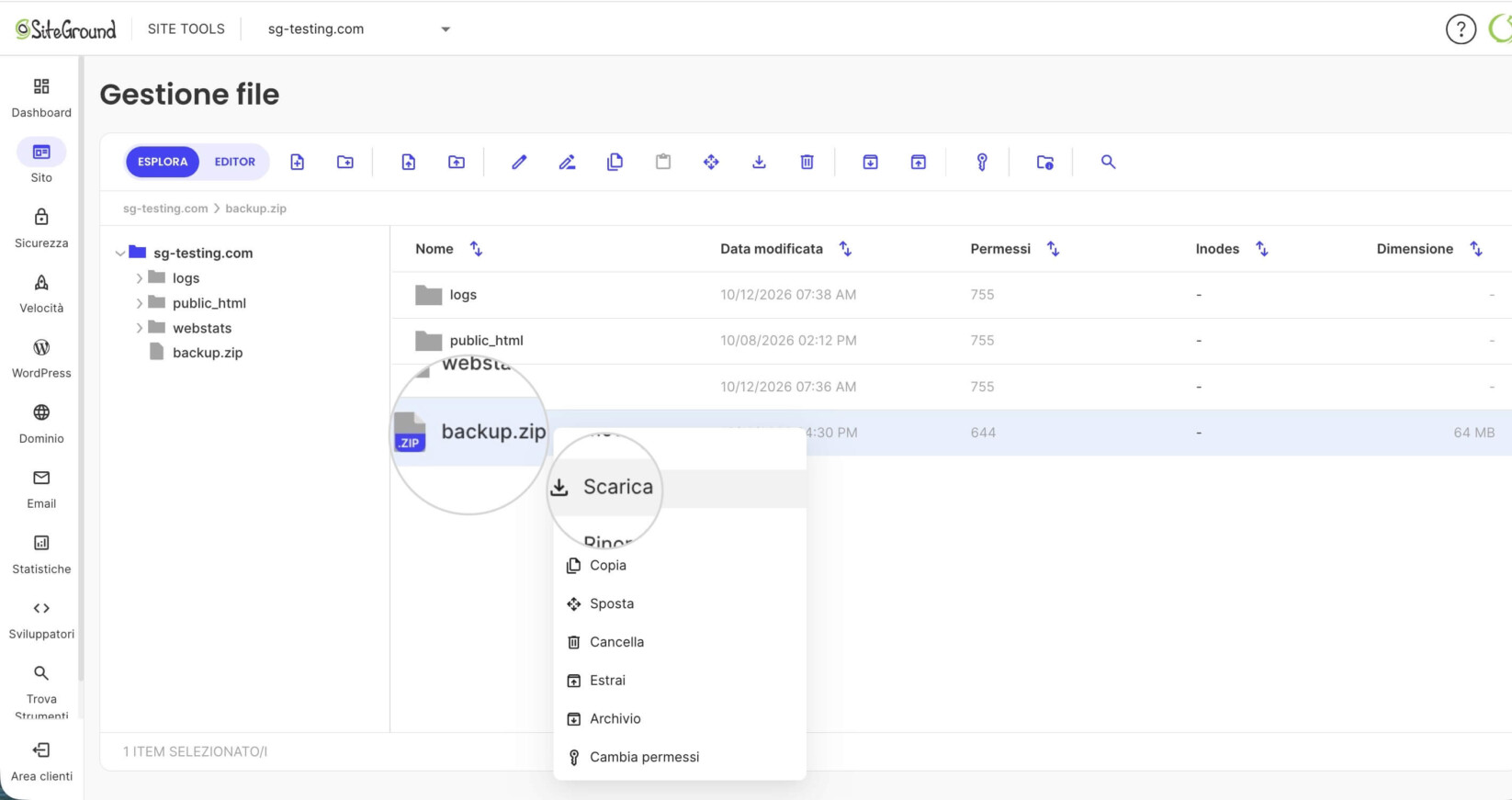 Gestione File in Site Tools dove l'archivio di backup è contrassegnato ed è selezionato Scarica
