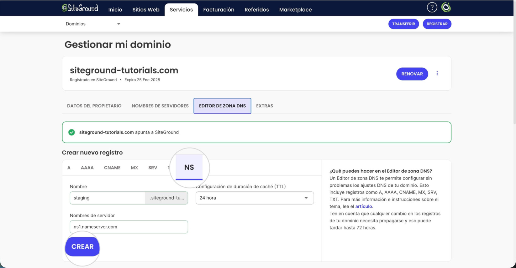 Editor de zona DNS en la página de ajustes del dominio en el Área de Cliente de SiteGround que muestra la pestaña NS donde se crean los servidores de nombres de subdominio