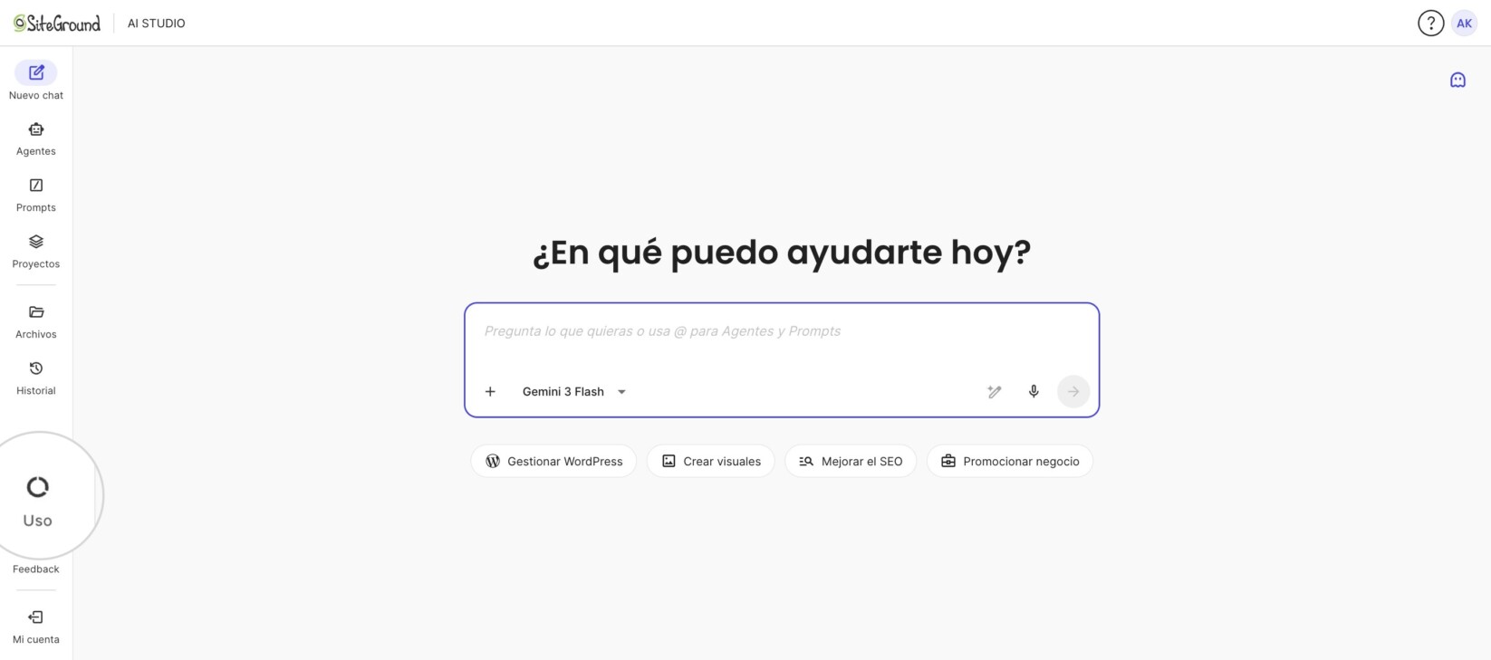 La pantalla Nuevo chat de AI Studio, con el menú de navegación izquierdo que muestra Uso entre Historial y Feedback.