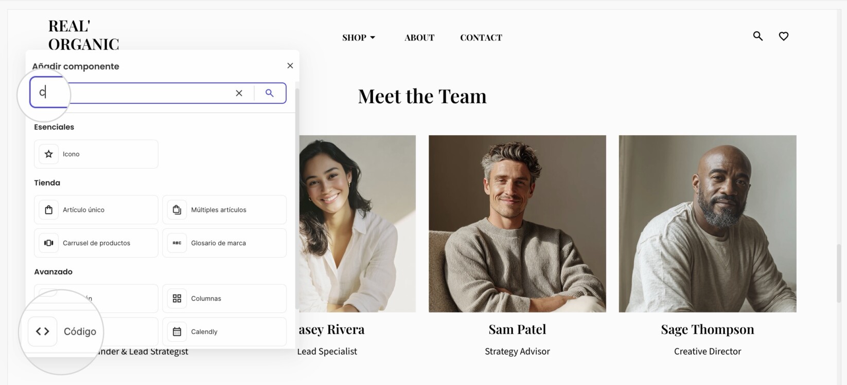 La ventana Añadir Componente en una página de Website Builder donde puedes seleccionar el componente de Código