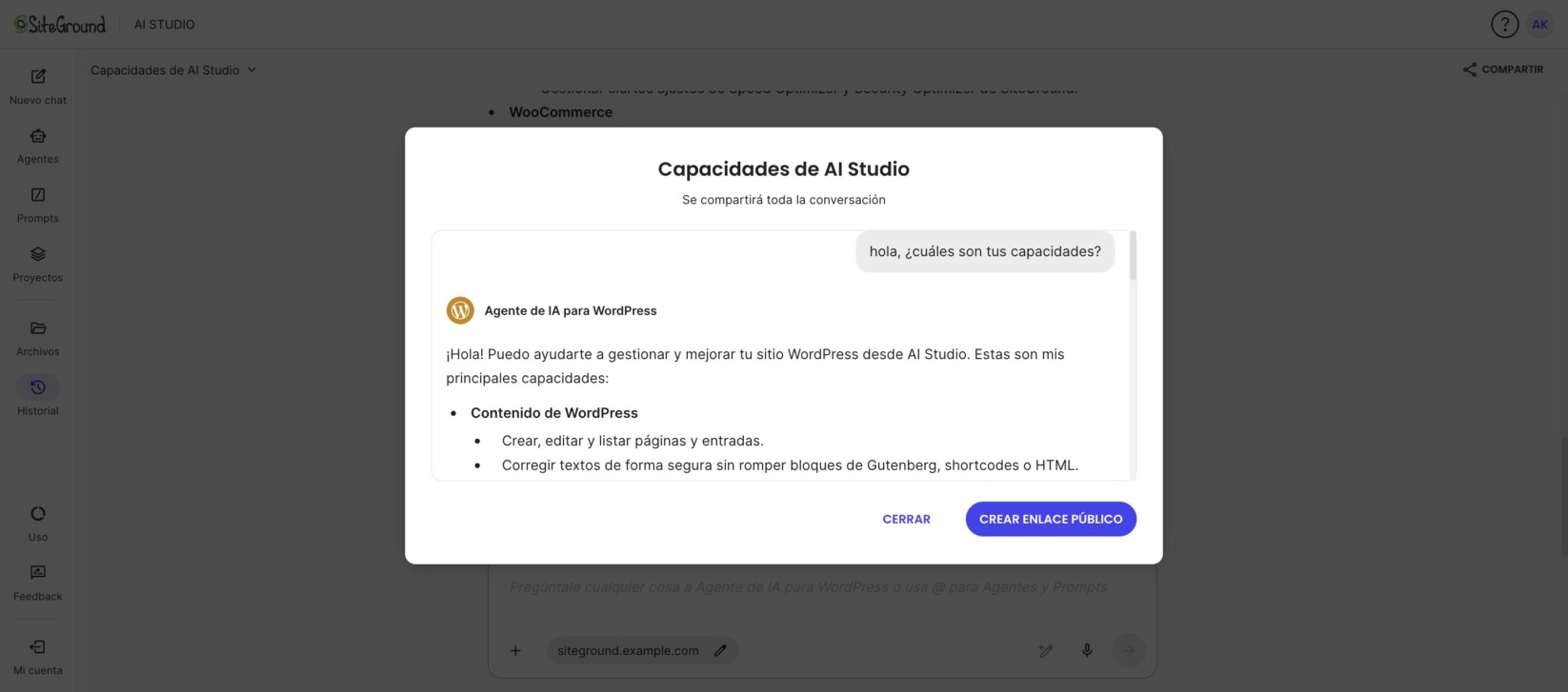 Ventana para revisar una conversación de AI Studio antes de crear un enlace público
