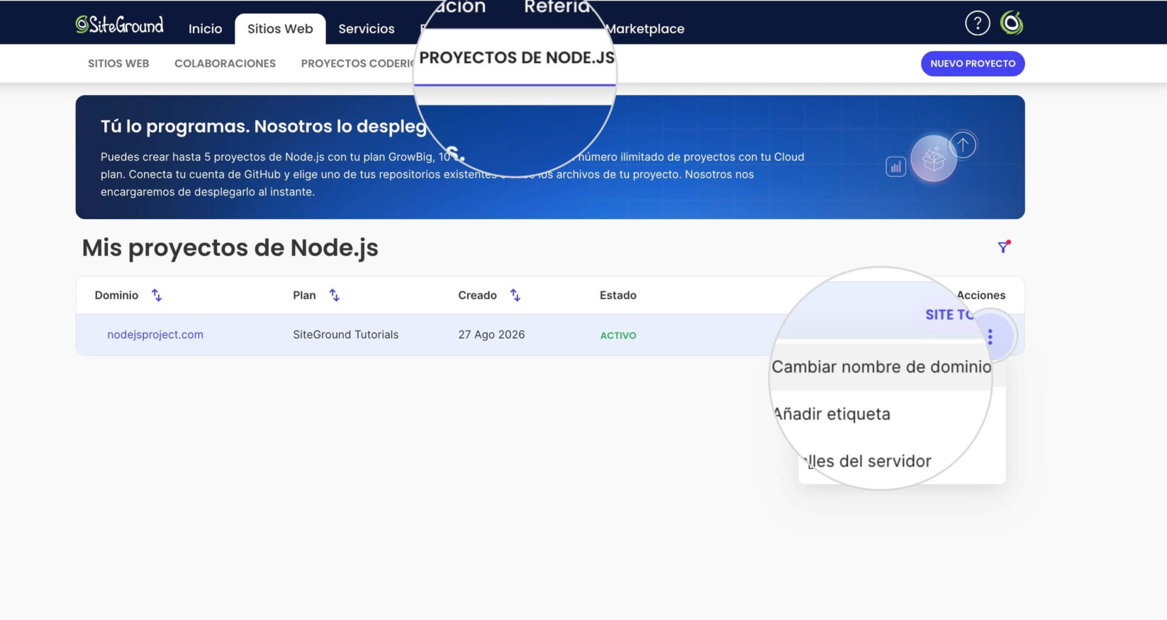 Página de Proyectos Node.js de un Área de Cliente con la opción seleccionada Cambiar Dominio Principal