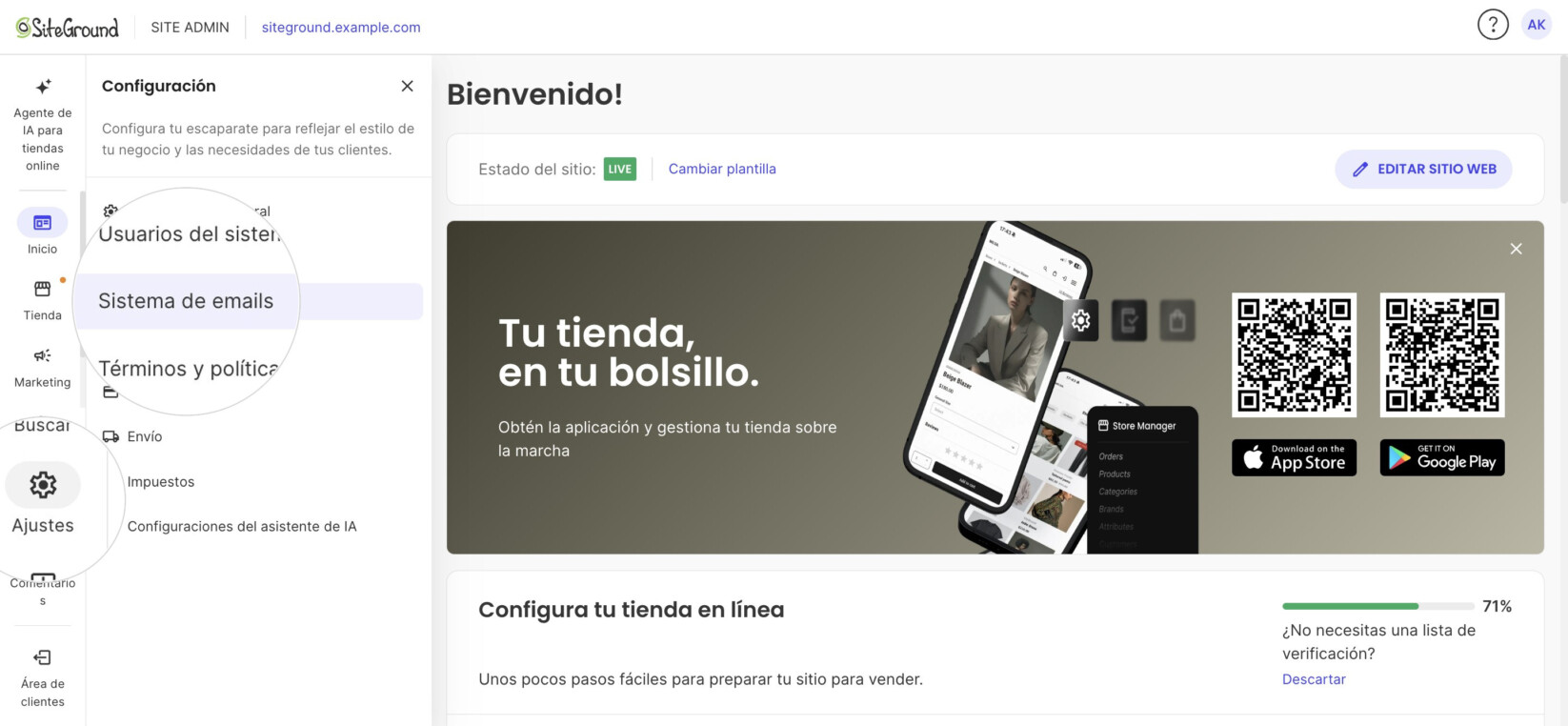 Site Admin con el panel Configuración abierto y Sistema de emails resaltado; Ajustes y Sistema de emails ampliados