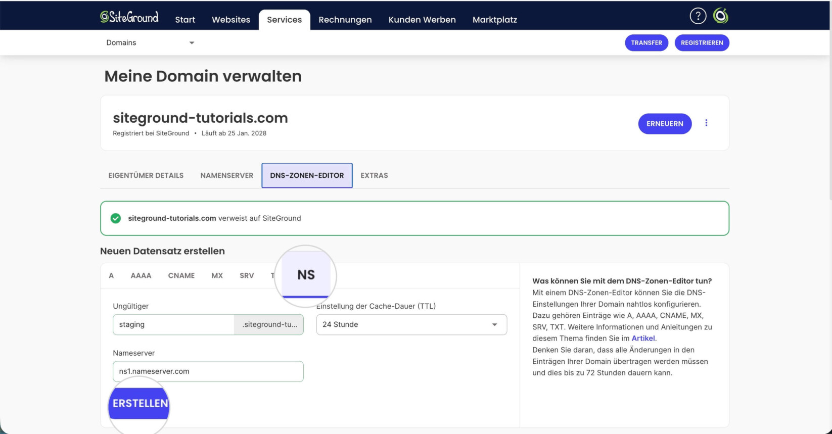 DNS-Zonen-Editor auf der Seite mit den Domain-Einstellungen im SiteGround-Kundenbereich, der den NS-Tab anzeigt, in dem Subdomain-Nameserver erstellt werden
