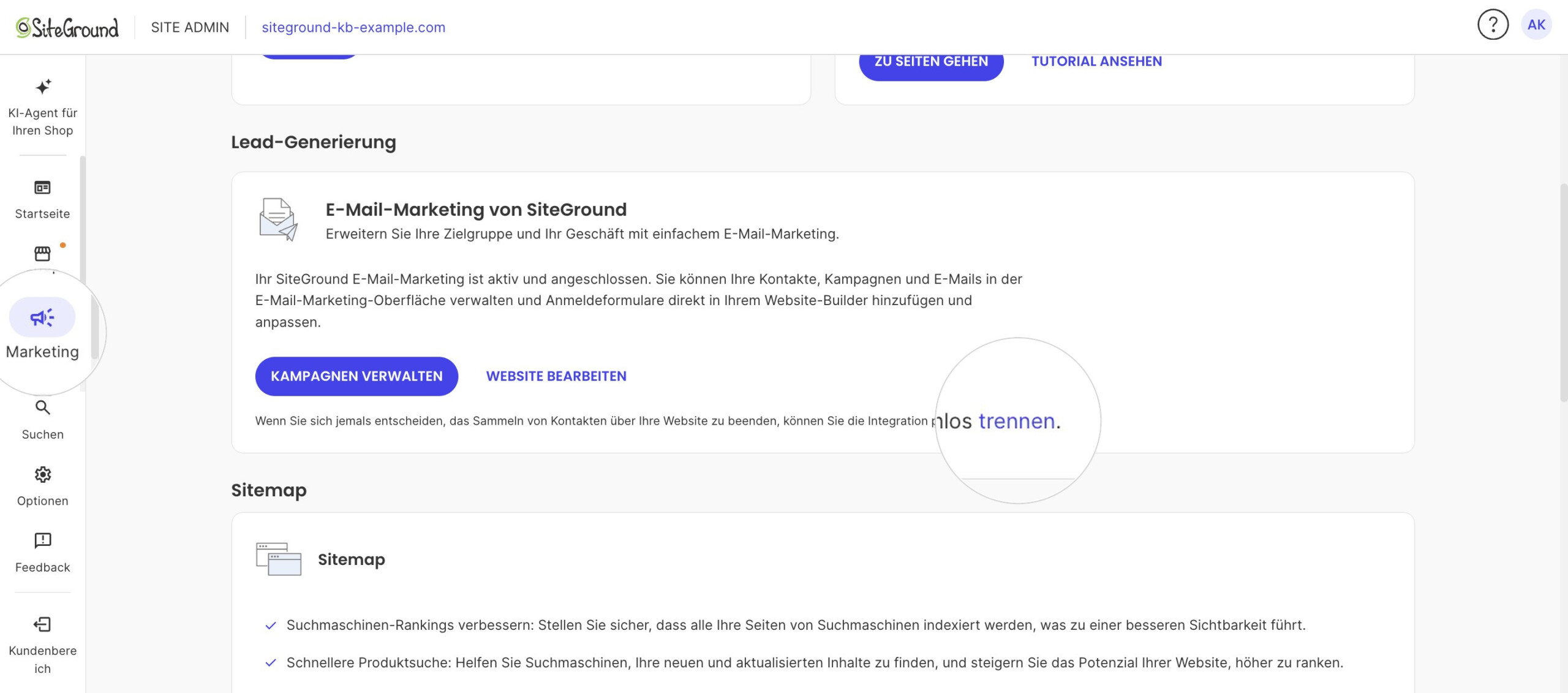 Die verbundene SiteGround E-Mail-Marketing-Karte im Site Admin mit dem Link zum Trennen.