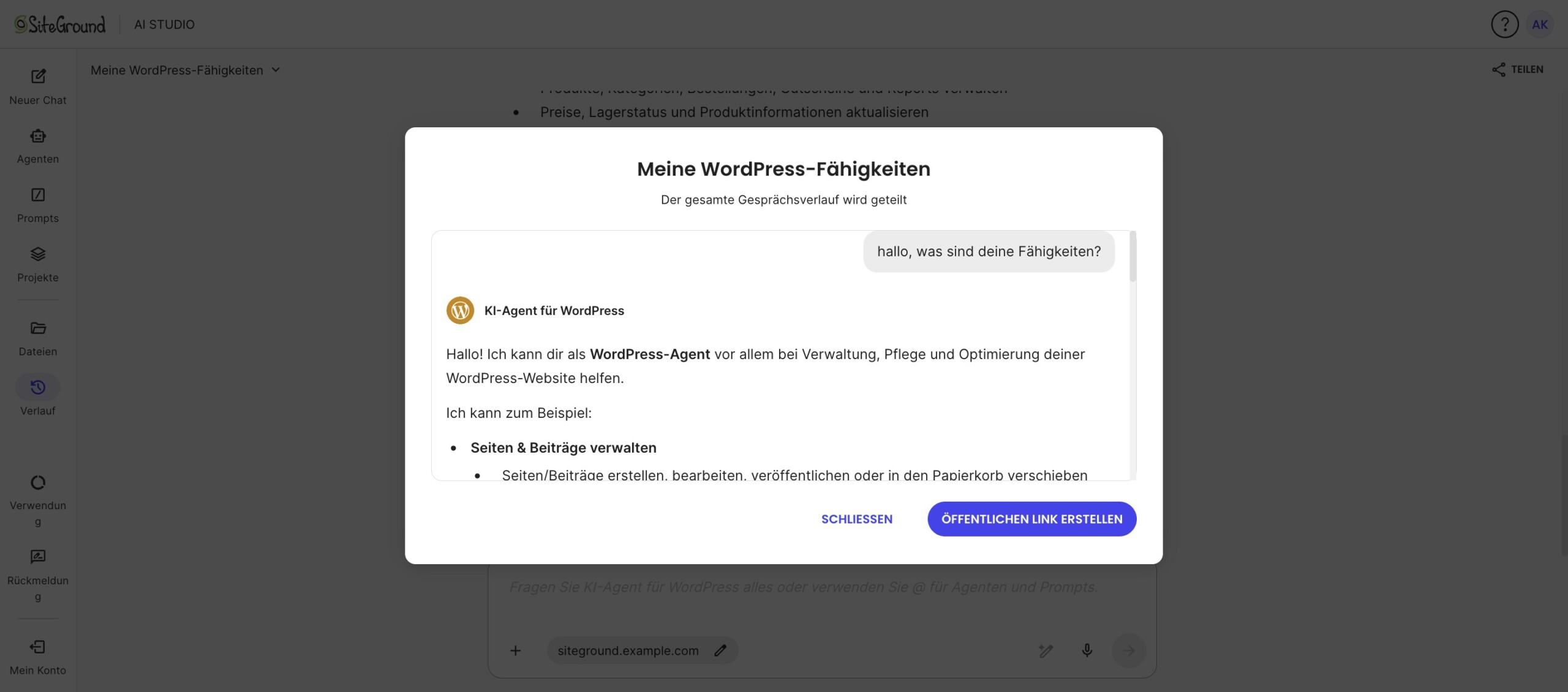 Fenster zur Überprüfung einer AI Studio-Unterhaltung vor dem Erstellen eines öffentlichen Links