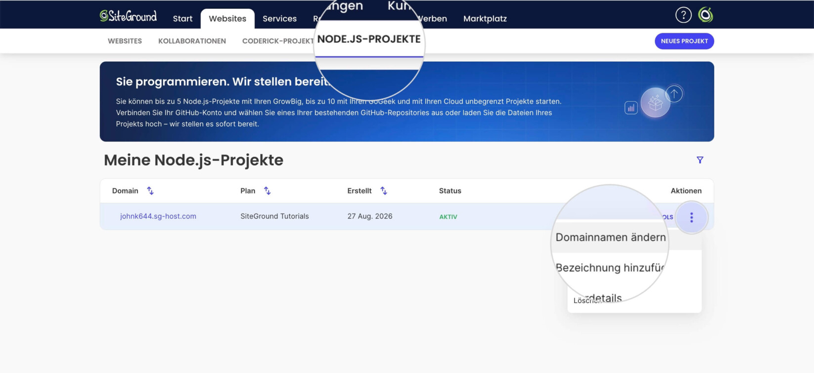 Node.js-Projekte-Seite eines Kundenbereichs mit der ausgewählten Option Primäre Domain ändern