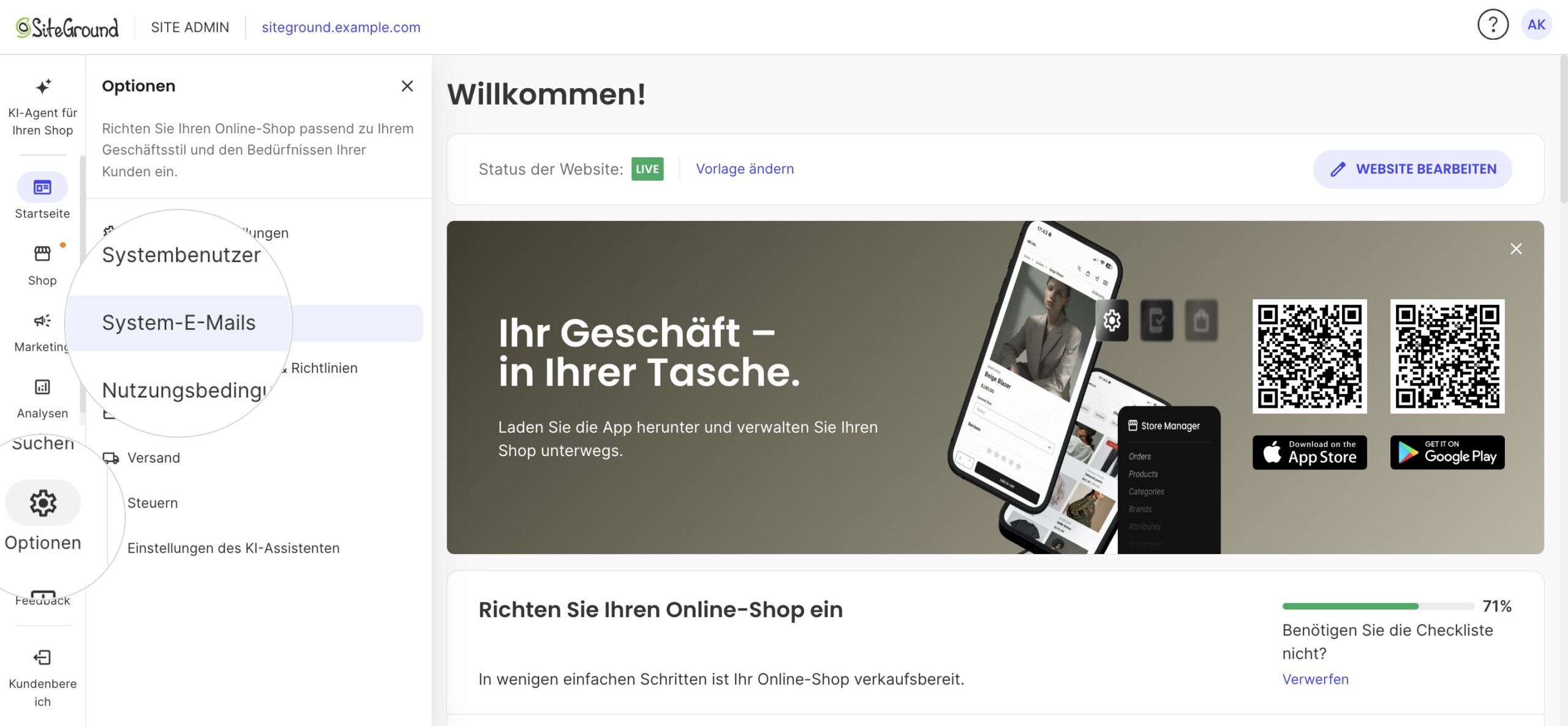 Site Admin mit geöffnetem Bereich Optionen und hervorgehobenem Eintrag System-E-Mails, beide vergrößert