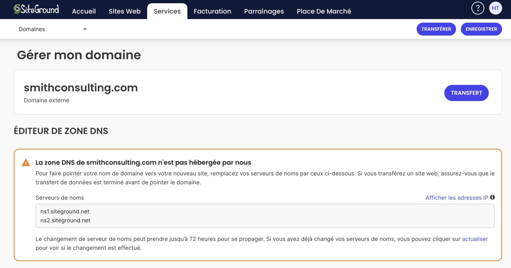 Page Gérer mon domaine de SiteGround pour le domaine externe smithconsulting.com, avec un avertissement indiquant que sa zone DNS n'est pas hébergée chez SiteGround et les serveurs de noms ns1.siteground.net et ns2.siteground.net à configurer pour faire pointer le domaine.