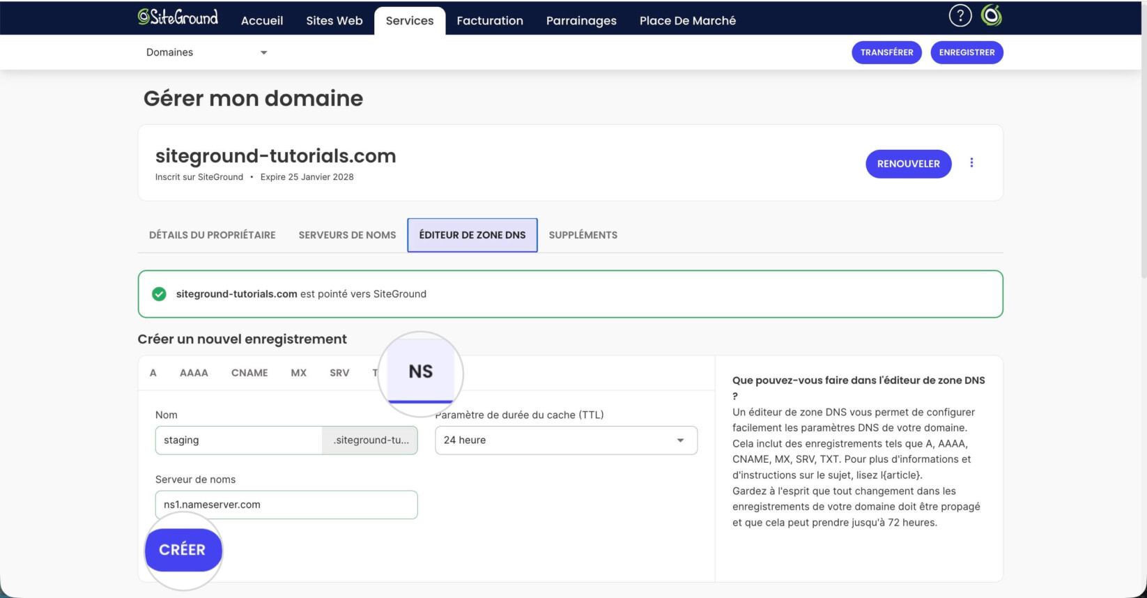 Éditeur de zone DNS dans la page des paramètres du domaine de l'Espace Client SiteGround affichant l'onglet NS où les serveurs de noms de sous-domaine sont créés