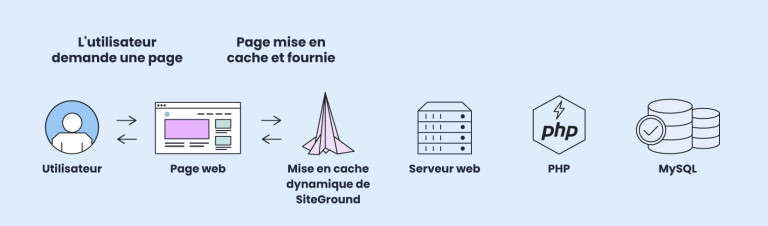 Cache Directeur Qu'est-ce que le cache & Comment un Site Web est-il mis en Cache ...