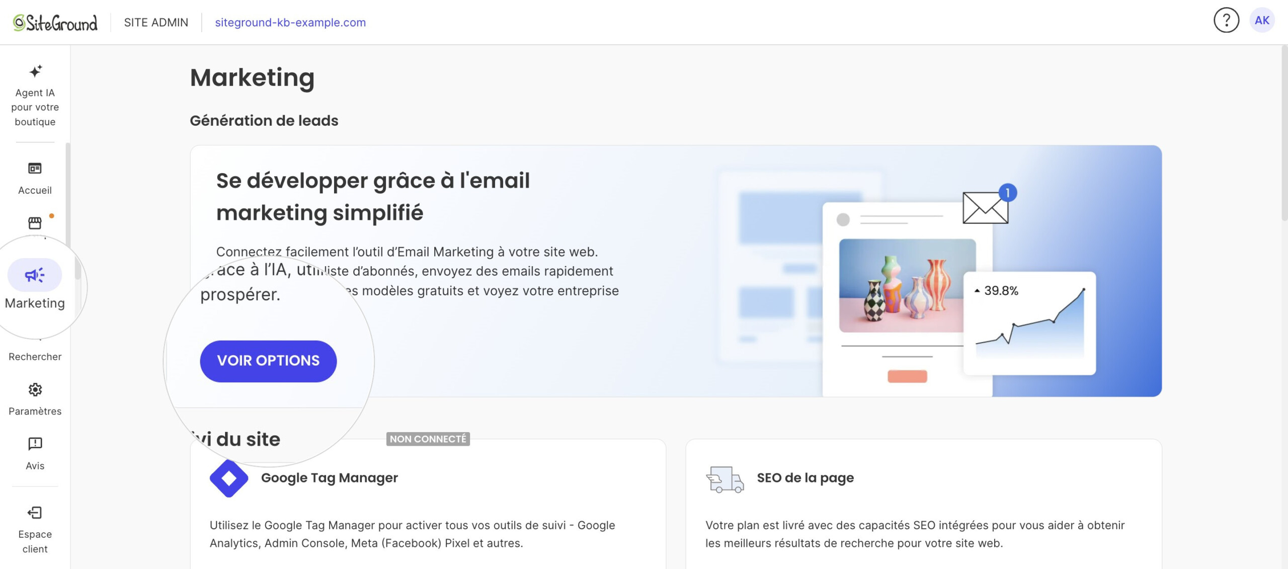 La section Marketing du Site Admin avec la bannière Email Marketing et le bouton Voir options.