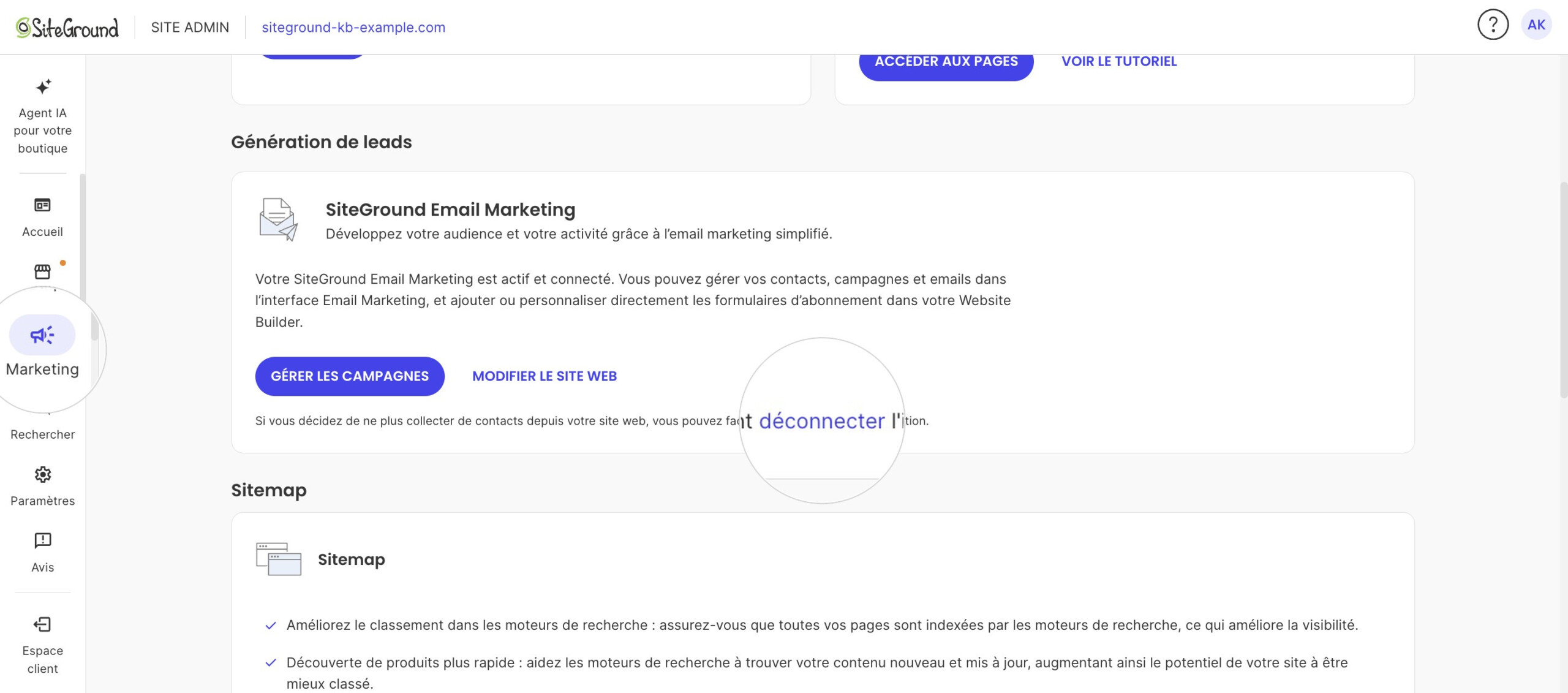 La carte Email Marketing de SiteGround connectée dans Site Admin, avec le lien pour déconnecter.