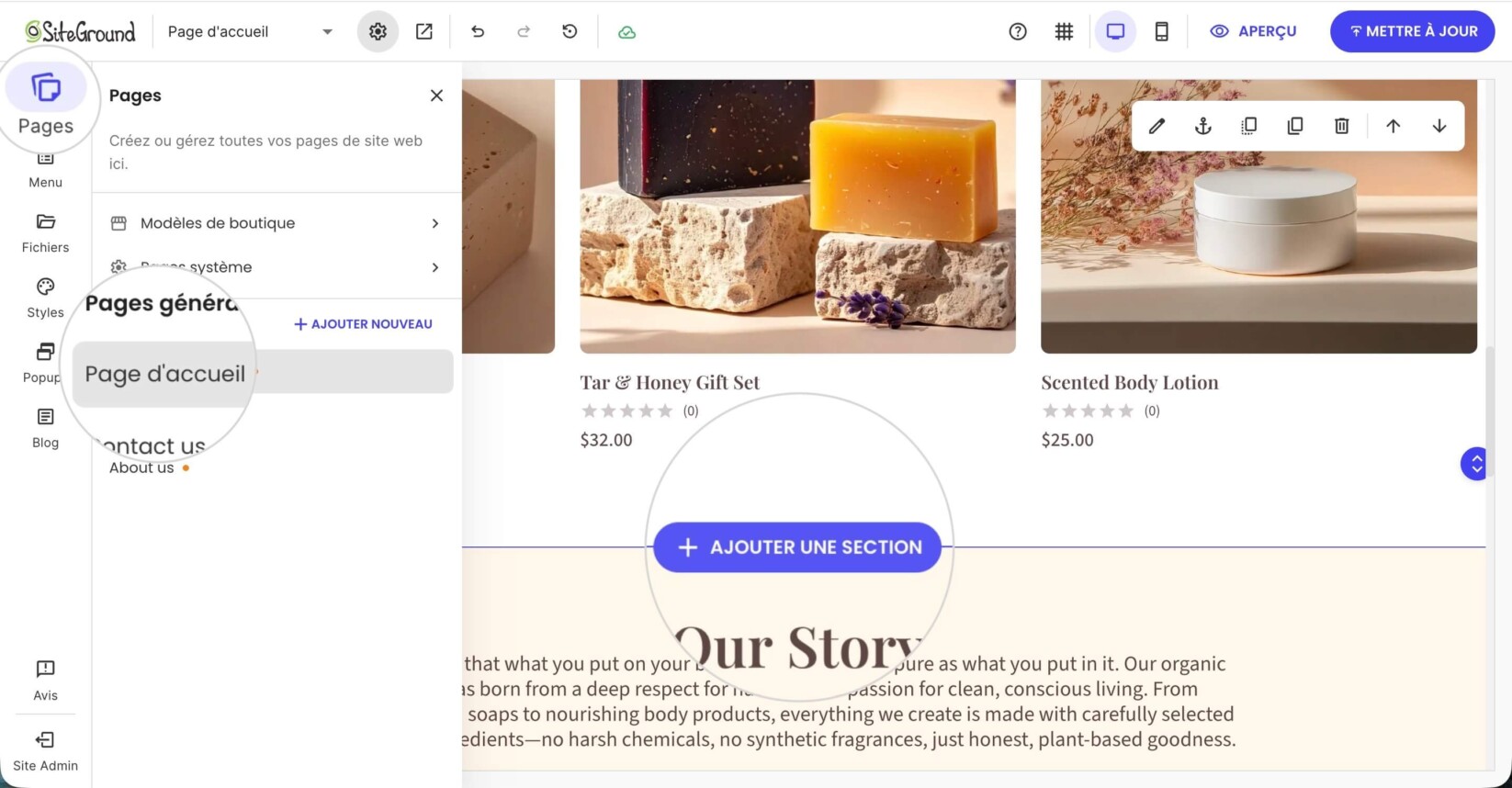 Onglet Pages dans le Website Builder avec une page sélectionnée affichant le bouton Ajouter une section