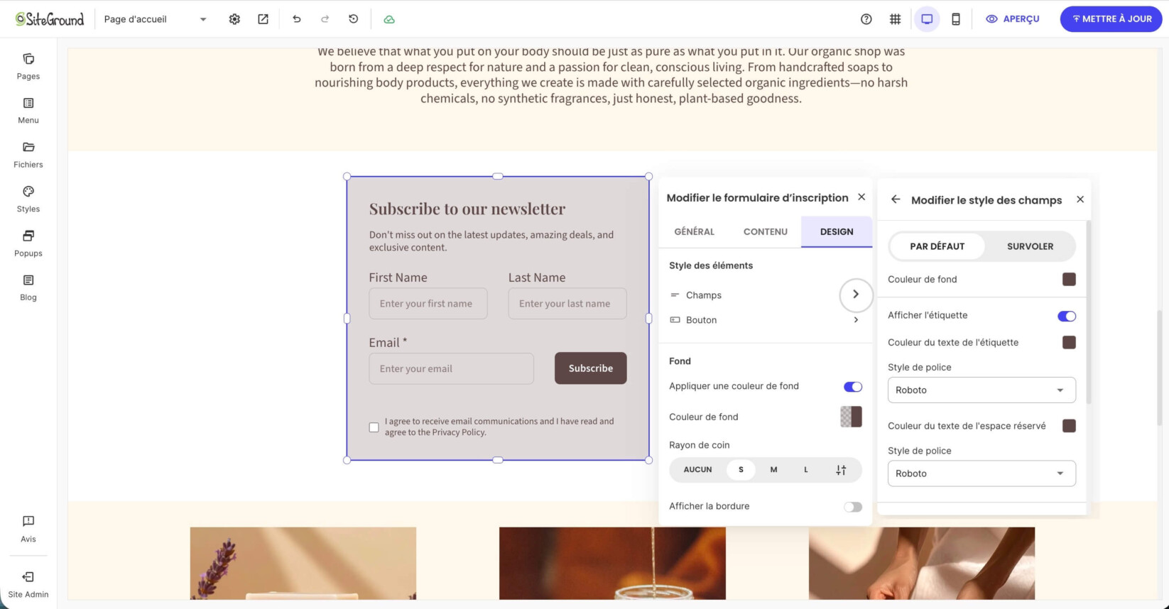 Un formulaire d'abonnement sur une page du Website Builder affichant les options des paramètres de Design