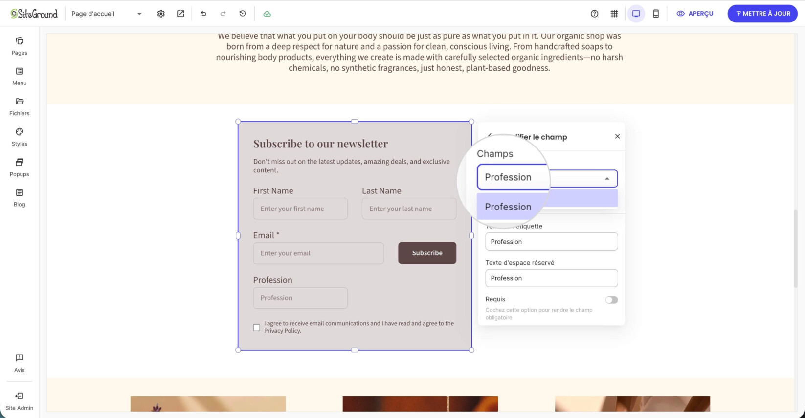 Paramètres de champ personnalisé dans un formulaire d'abonnement dans le Website Builder où vous pouvez modifier un champ personnalisé