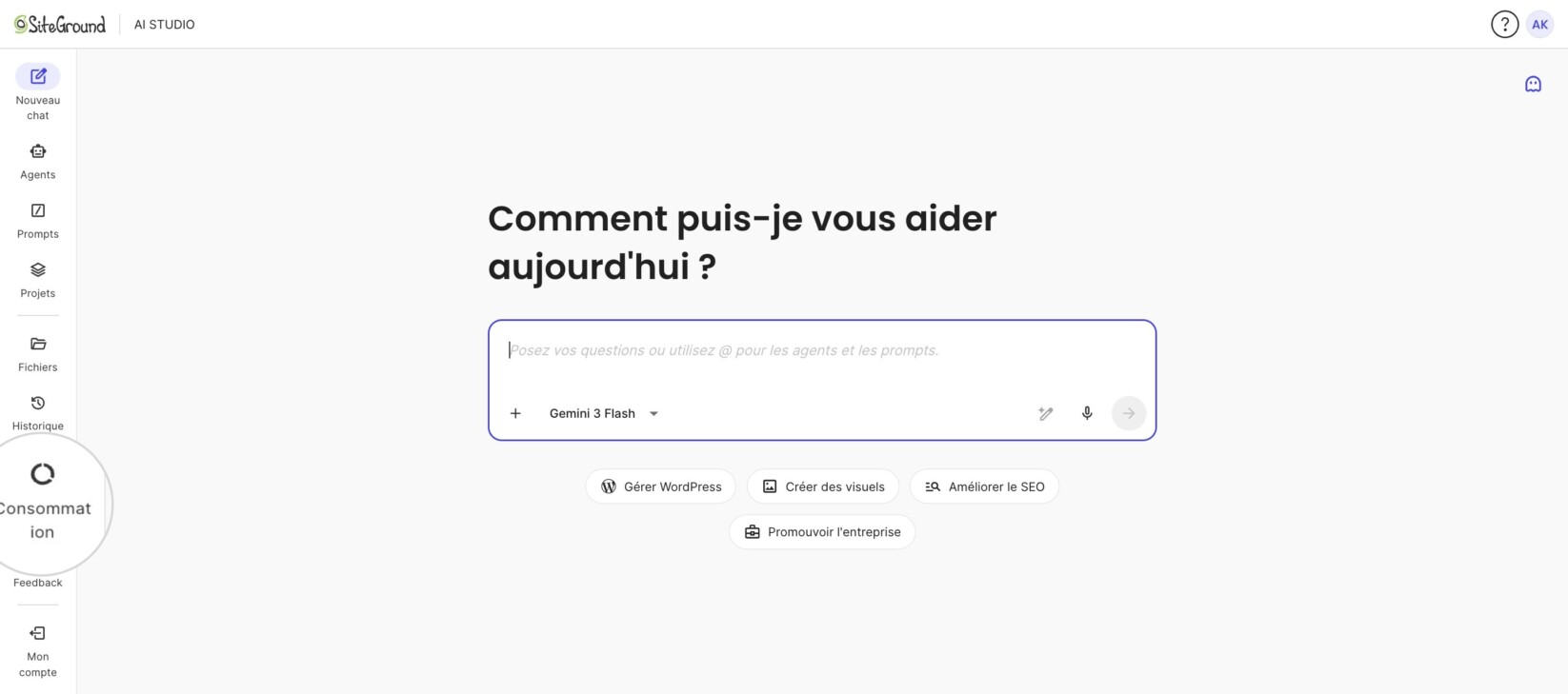 L'écran Nouveau chat d'AI Studio ; le menu de navigation de gauche affiche Consommation entre Historique et Feedback.