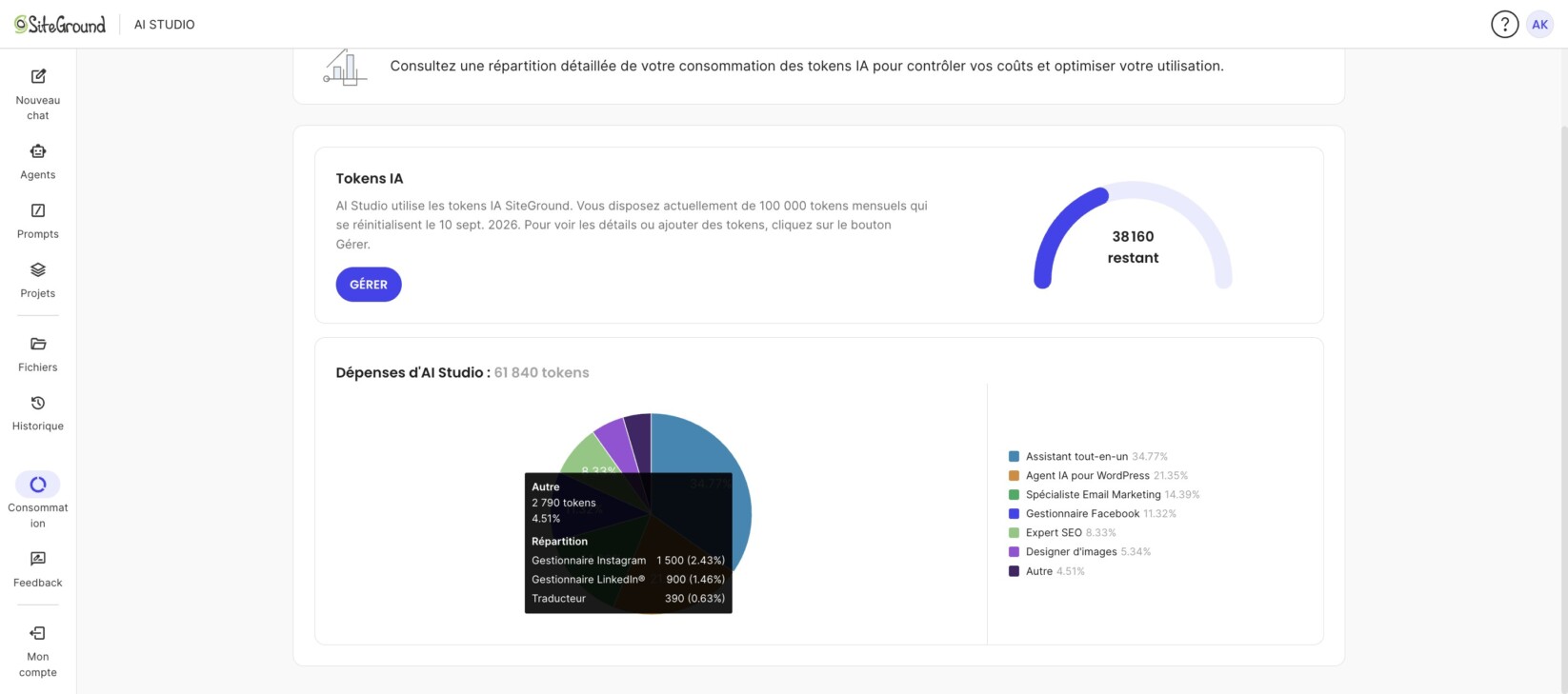 Le graphique circulaire Dépenses d'AI Studio portant sur 61 840 tokens ; la part Autre est survolée et son infobulle détaille les 4.51% en Gestionnaire Instagram, Gestionnaire LinkedIn et Traducteur.