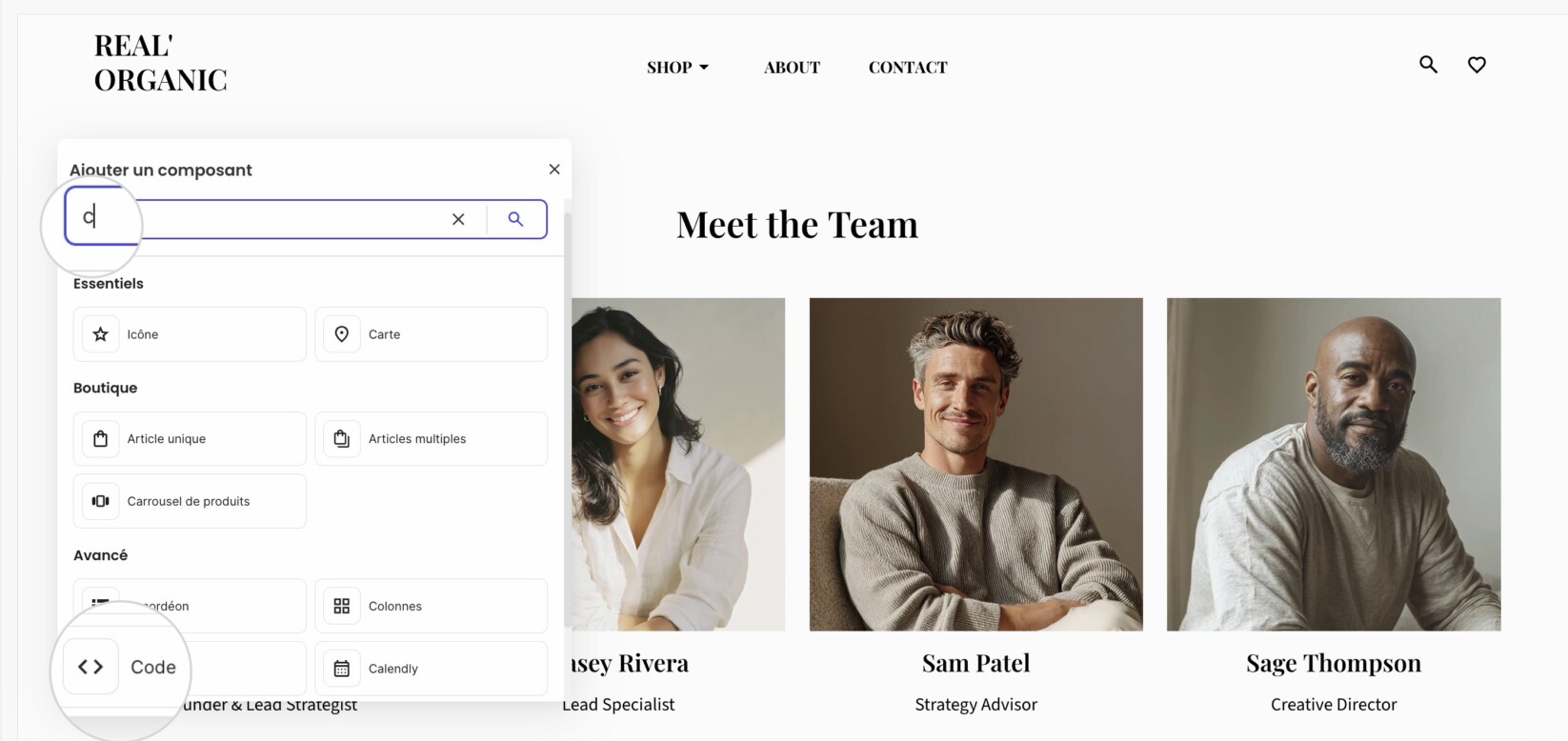 La fenêtre Ajouter un composant sur une page dans Website Builder où vous pouvez sélectionner le composant Code
