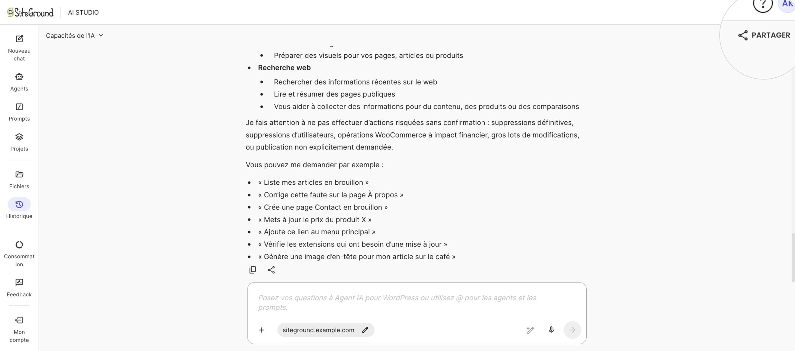 Bouton Partager en haut à droite d’un chat AI Studio