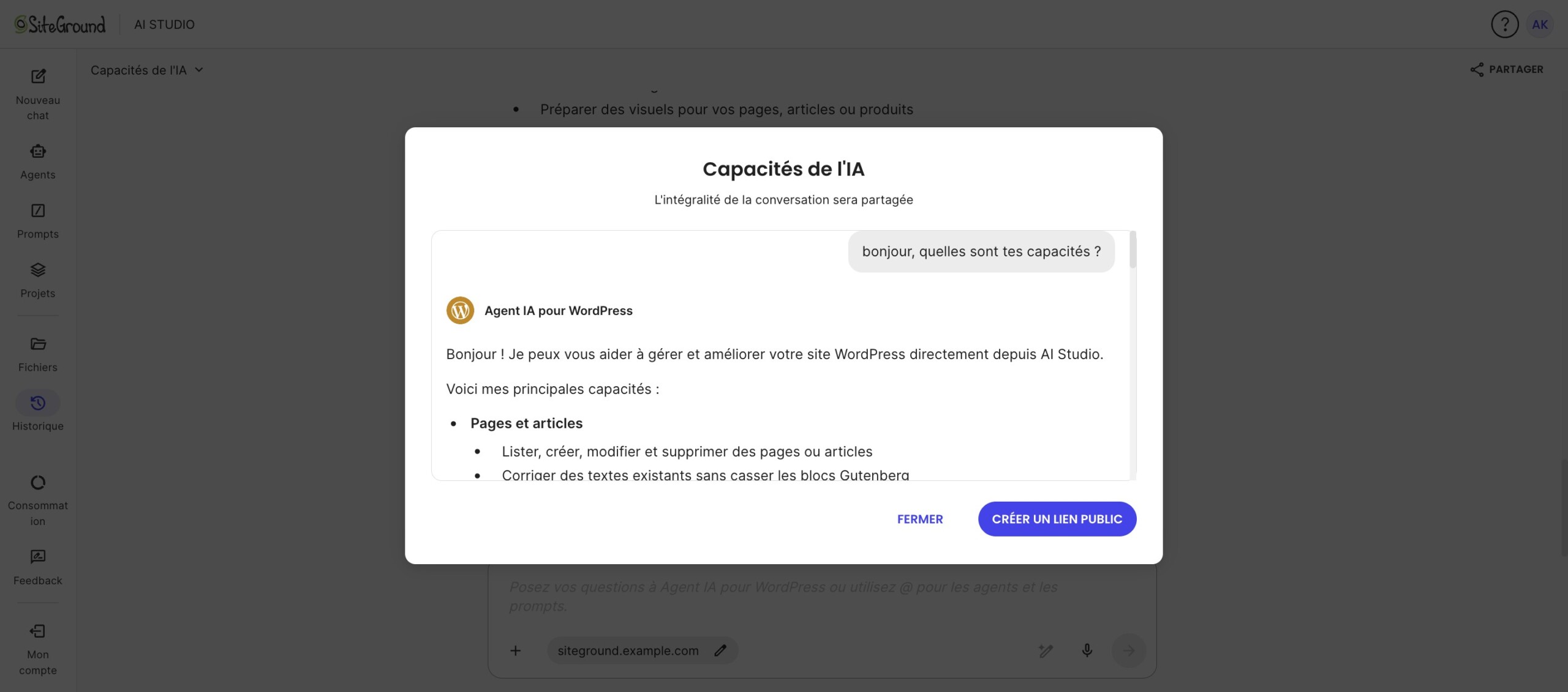 Fenêtre permettant de vérifier une conversation AI Studio avant de créer un lien public