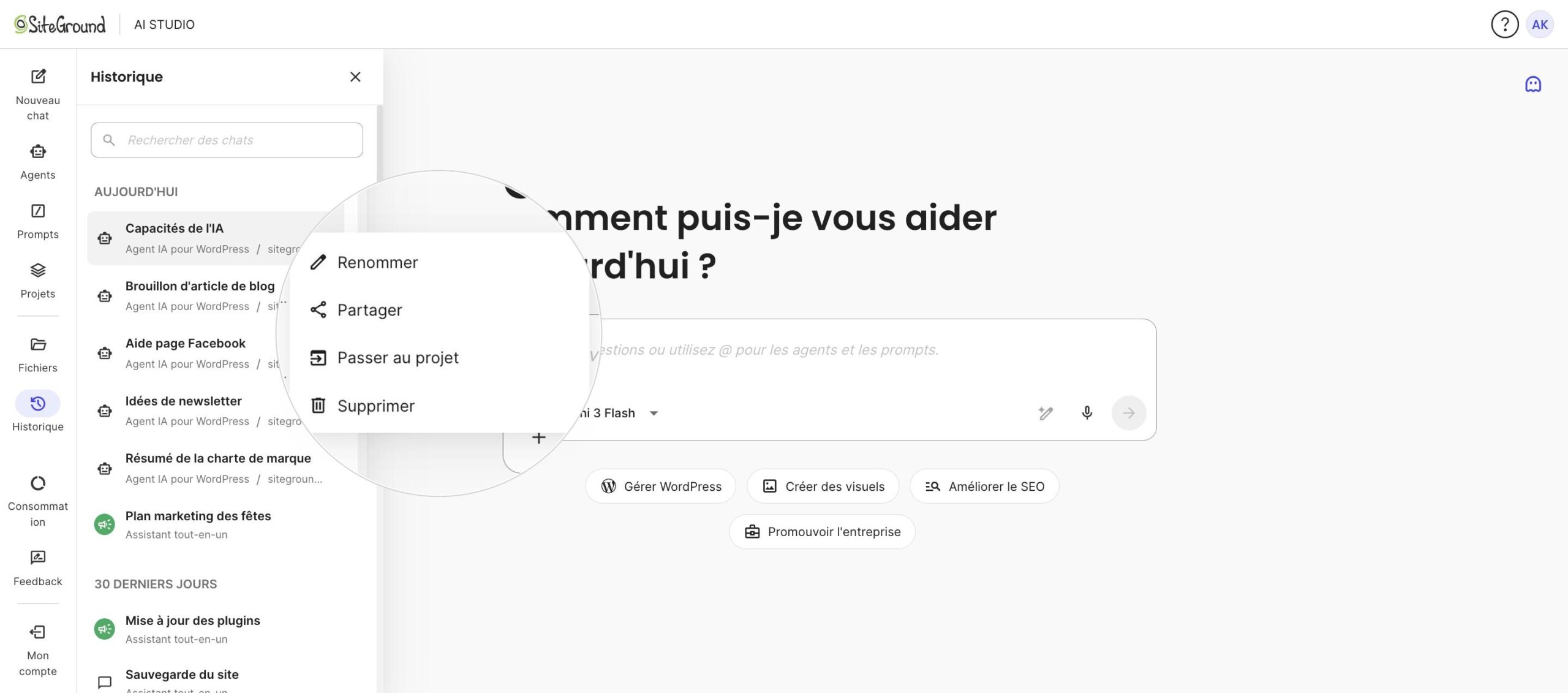 Menu d’actions d’un chat dans l’historique d’AI Studio
