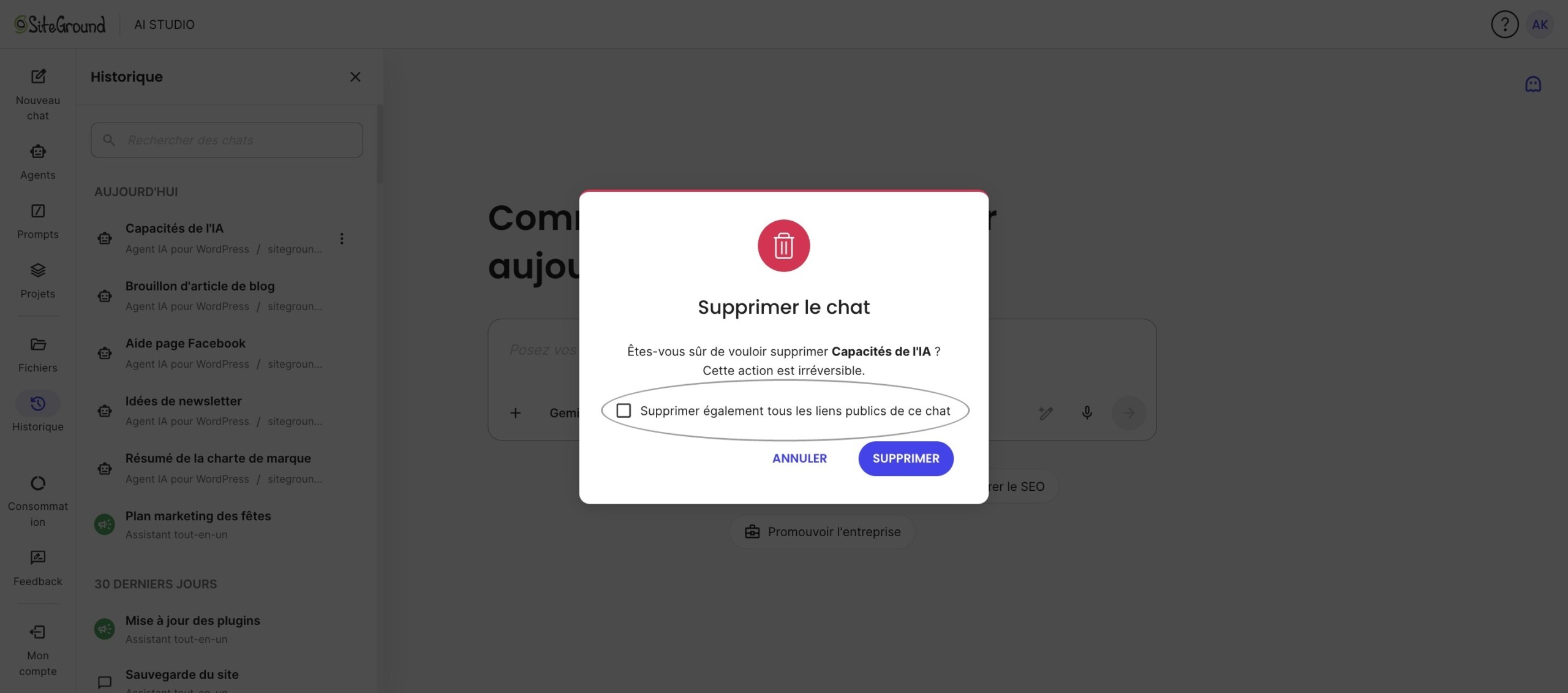 Fenêtre de confirmation pour supprimer un chat et les liens publics associés