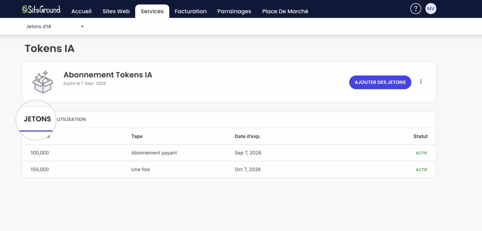 Dans l'onglet Tokens, vous verrez listé votre plan de Tokens IA et tous les tokens supplémentaires à usage unique actuellement actifs, ainsi que leurs dates d'expiration.