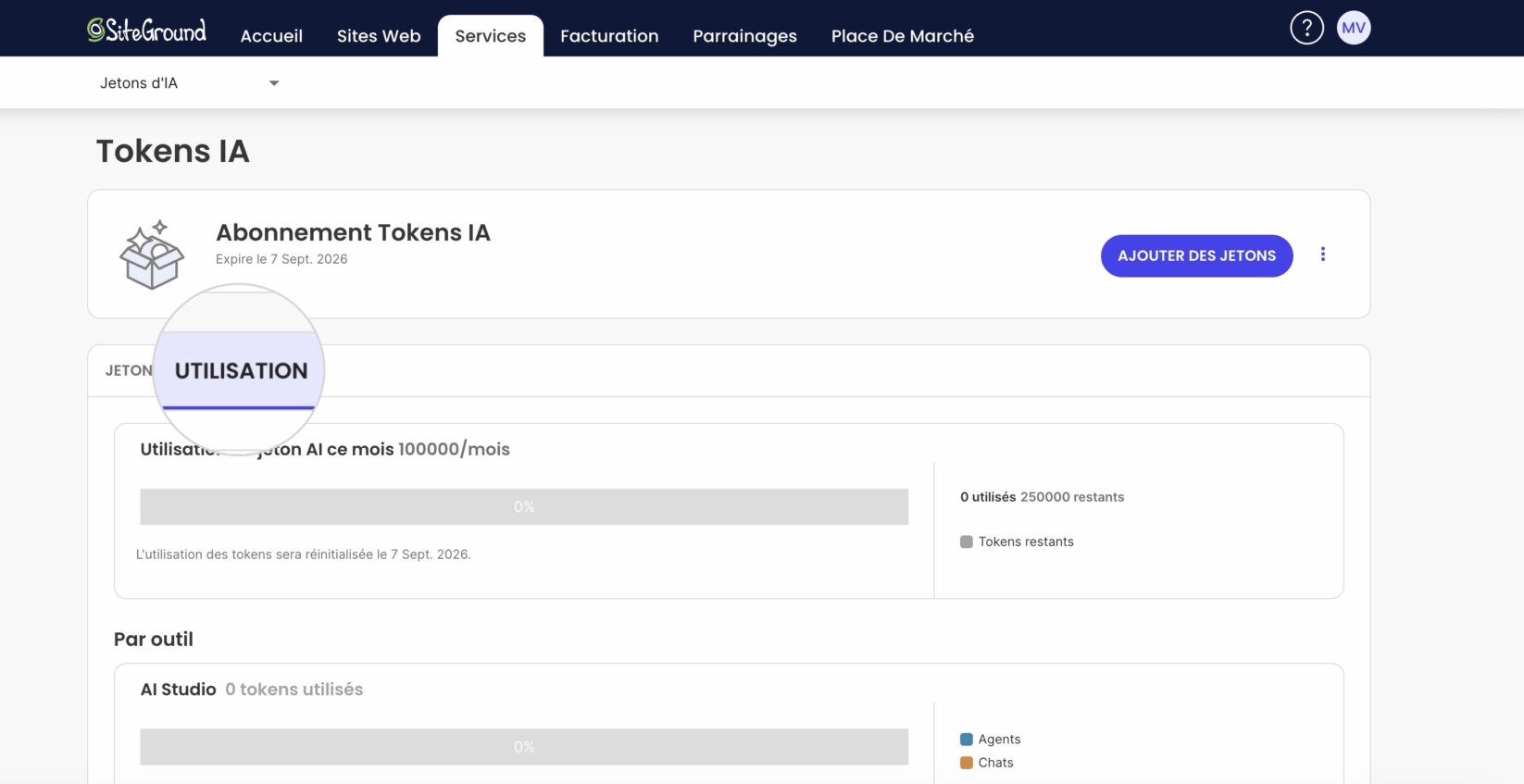 Dans l'onglet Utilisation, vous verrez combien de tokens vous avez utilisés ce mois-ci, combien de tokens vous avez actuellement restants et quand est la date de réinitialisation de votre abonnement.
