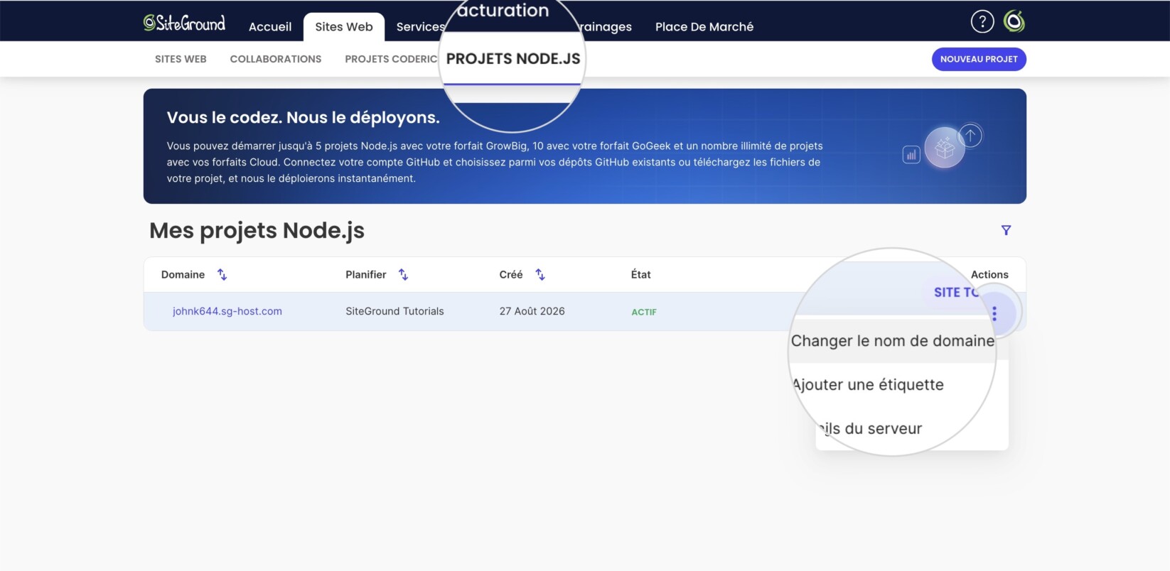 Page des projets Node.js d'un Espace Client avec l'option sélectionnée Changer le Domaine Principal