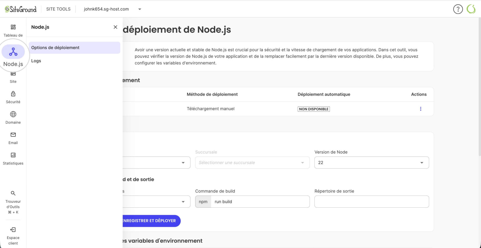 Section Node.js dans les Site Tools d'un projet Node.js